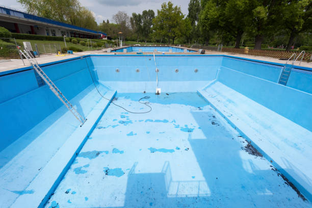 Best Flood restoration services  in Wheeling, IL
