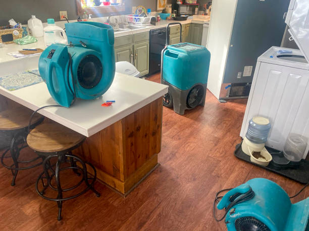 Best Residential water damage restoration  in Wheeling, IL