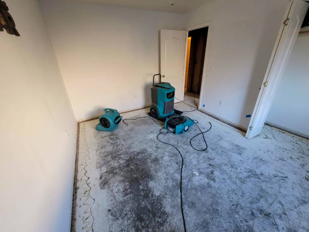 Best Ceiling water damage repair  in Wheeling, IL