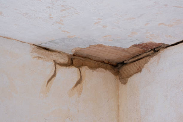 Best Mold removal after water damage  in Wheeling, IL