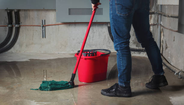 Best 24-hour water damage restoration  in Wheeling, IL