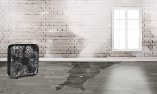 Best Ceiling water damage repair  in Wheeling, IL