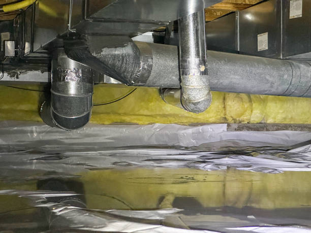 Best Professional water damage repair  in Wheeling, IL