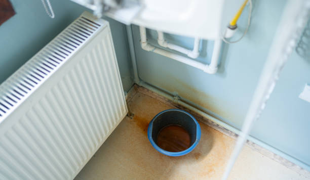 Best Flood damage cleanup  in Wheeling, IL