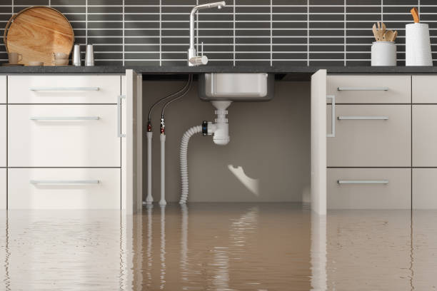 Best Water damage restoration near me  in Wheeling, IL