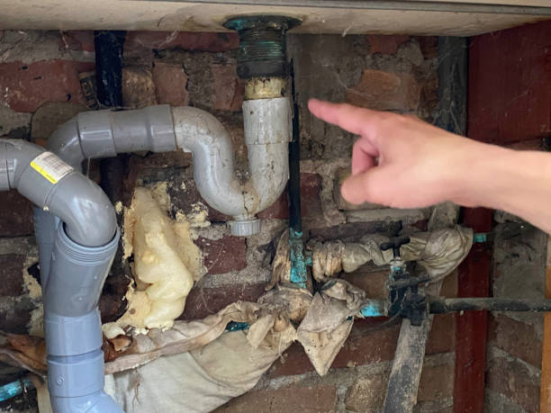 Best Water damage cleanup near me  in Wheeling, IL
