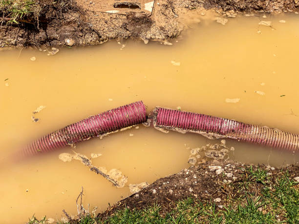Best Water damage contractors near me  in Wheeling, IL