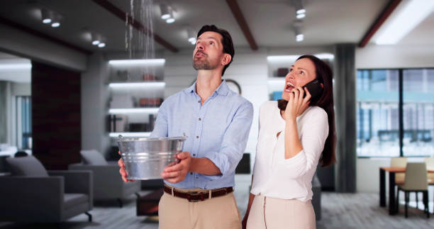 Best Sewage cleanup and water damage restoration  in Wheeling, IL