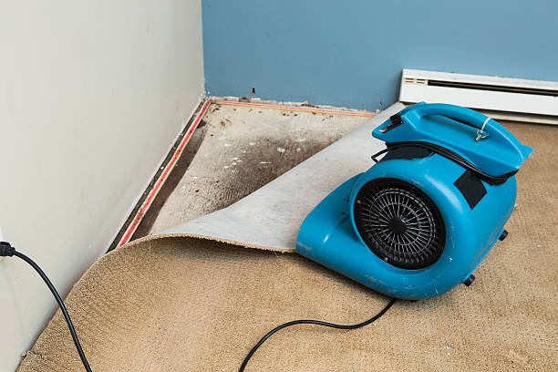 Best Basement water damage restoration  in Wheeling, IL